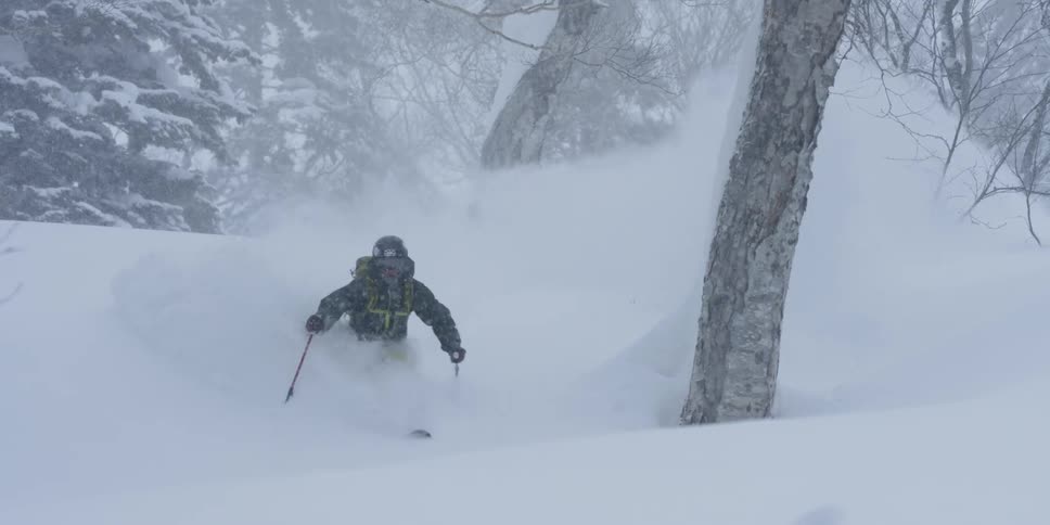 A person skis through the woods
