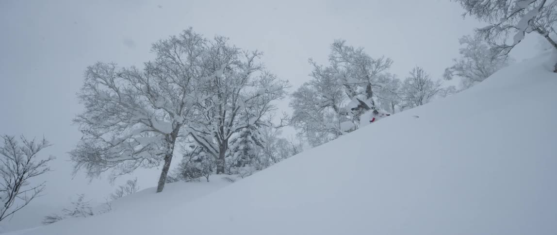 A person skiing down a slope with trees in the background