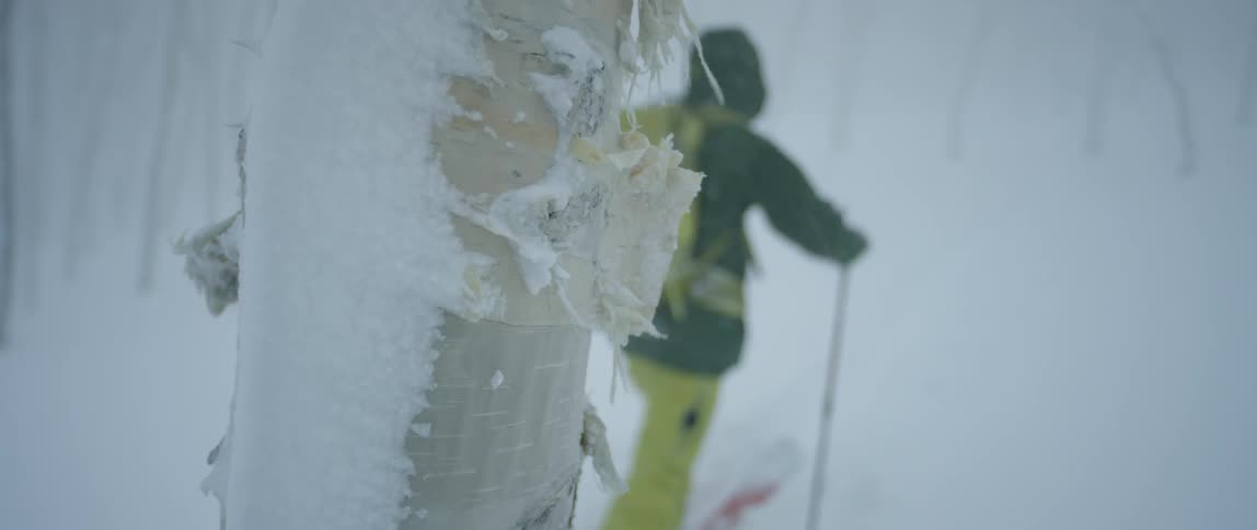 A skier wearing a yellow backpack hiking through the wind and snow
