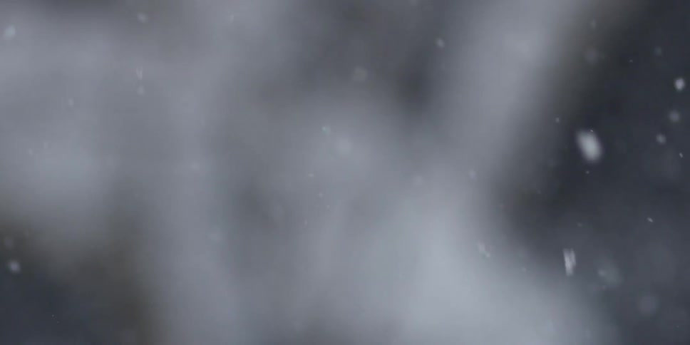 A small number of snowflakes fall