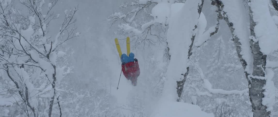 A person skis down performs a front flip down a jump of an off piste tree covered slope