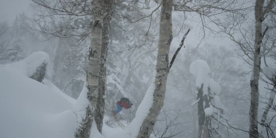 A person on skis does a perfect somersault in the air before landing surrounded by trees and snow