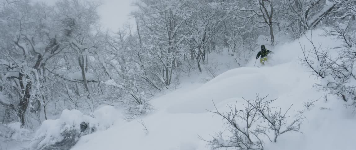 Skier emerging from wooded area