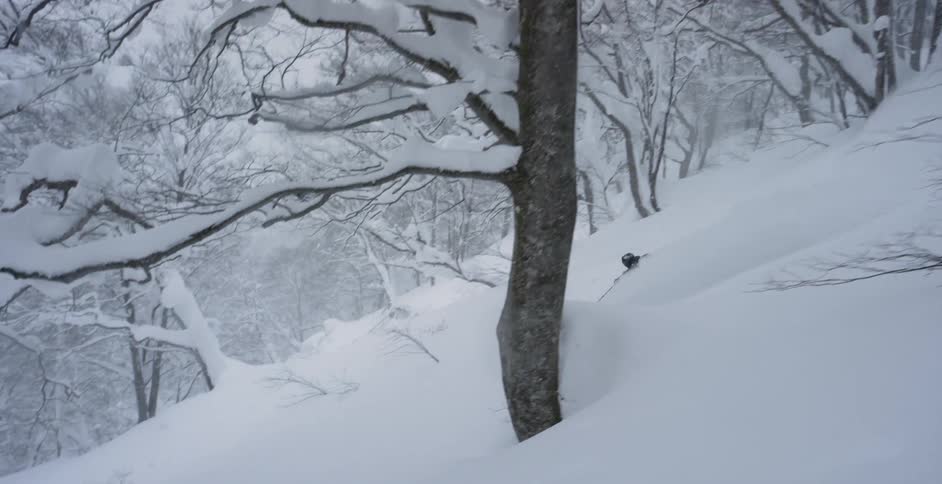 Downhill skier moves through a hill full of trees