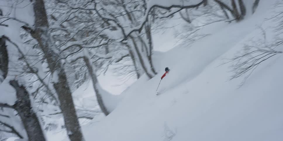 A person skis down an off piste tree covered mountain slope