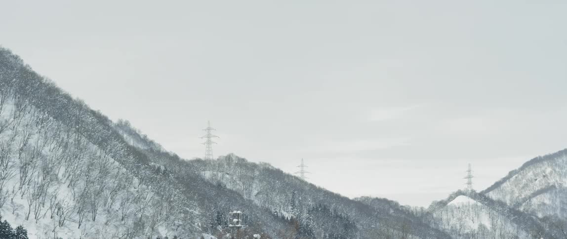 Forested mountains covered in snow