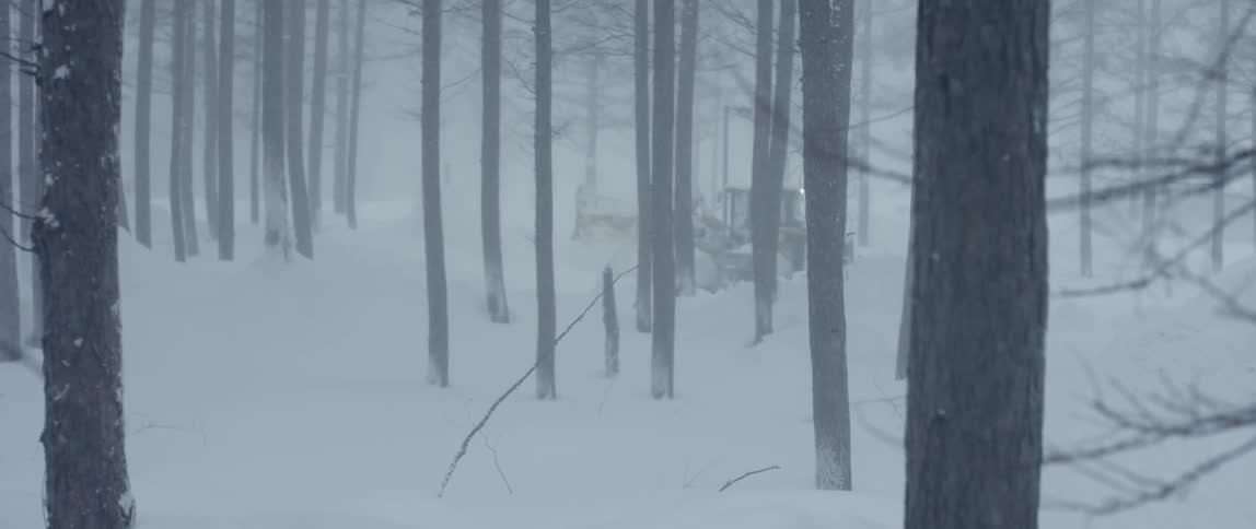 A piece of heavy machinery pushes snow in the forest