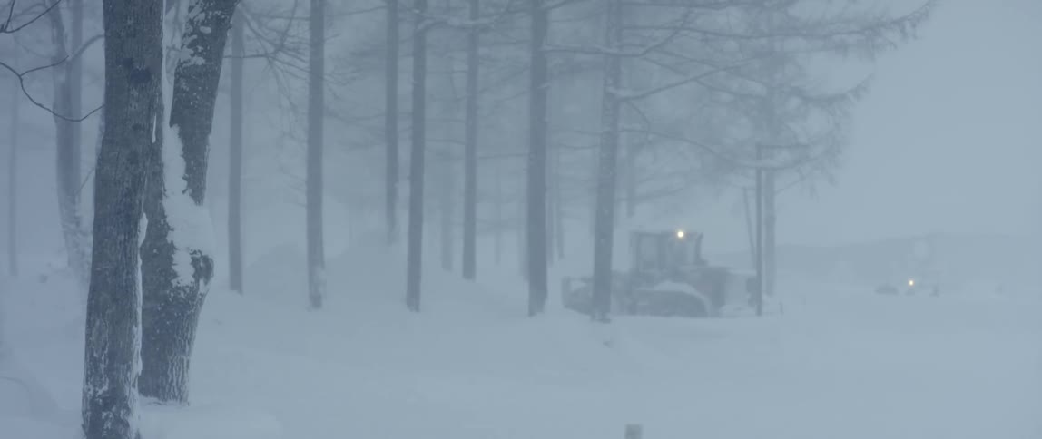 A bulldozer drives into a snow covered forest