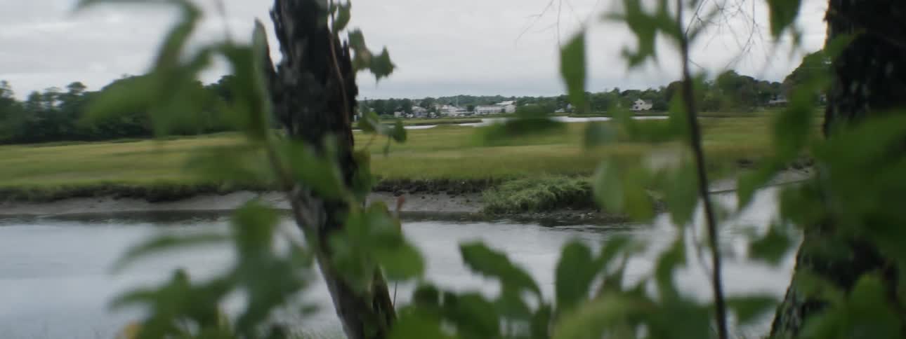 The breeze blows along a river