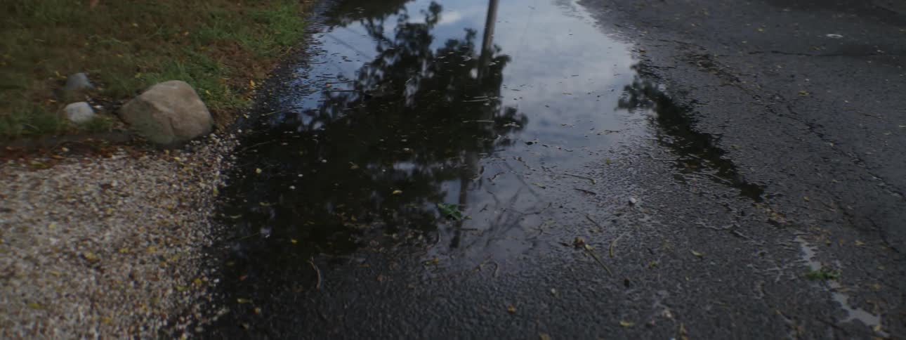 Reflection of trees, wires and a cloudy sky in a puddle of water