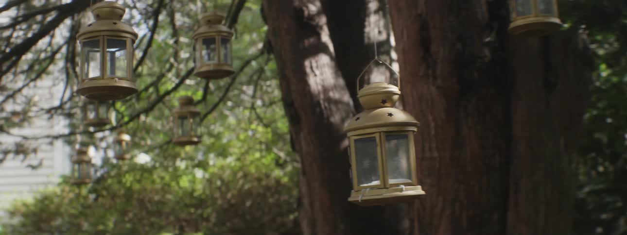 Glass lanterns hanging from a tree