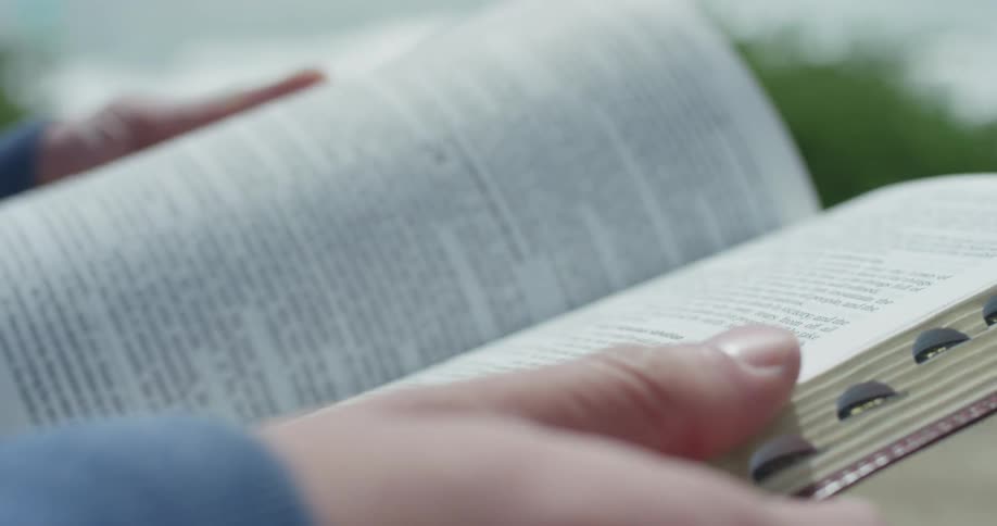 Man flips pages in a dictionary searching for a word