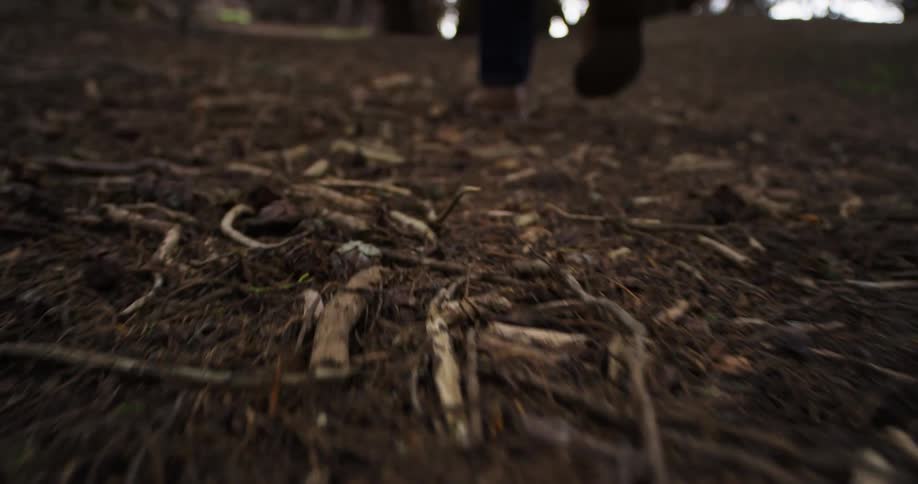 A person walking in the forest with twigs on the ground