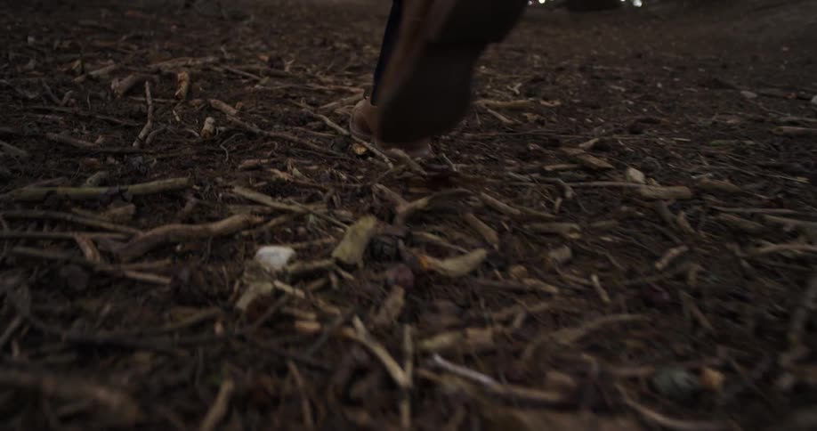 A person walking through dirt in a woodland