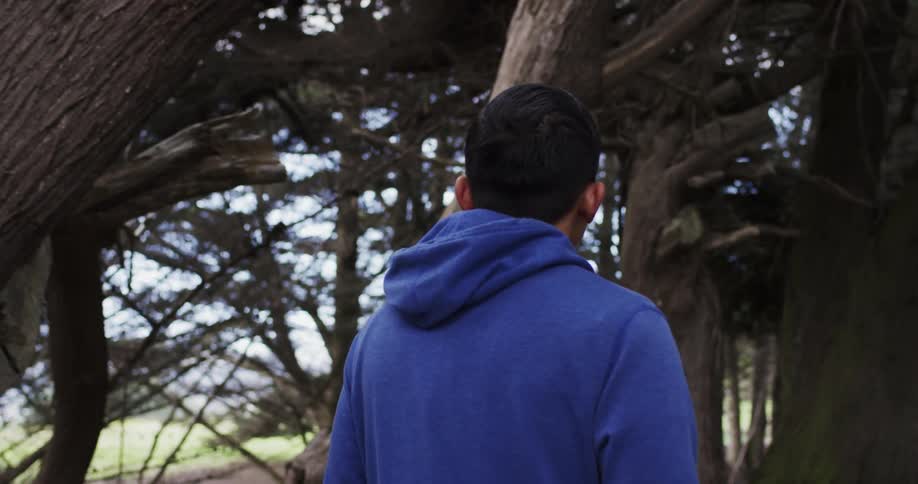 A man in a blue hoodie walks through a woods in daylight