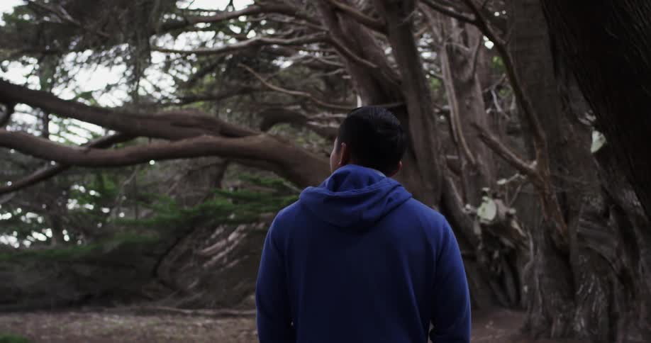 An asian man walks through a forest and takes in his surroundings
