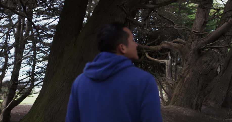 A man with a blue hoodie walking in the woods