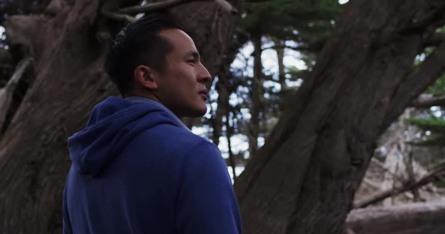 A man with a blue hoodie walking in the forest