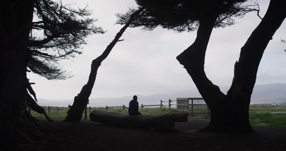 A person sitting on a log staring off at the distance