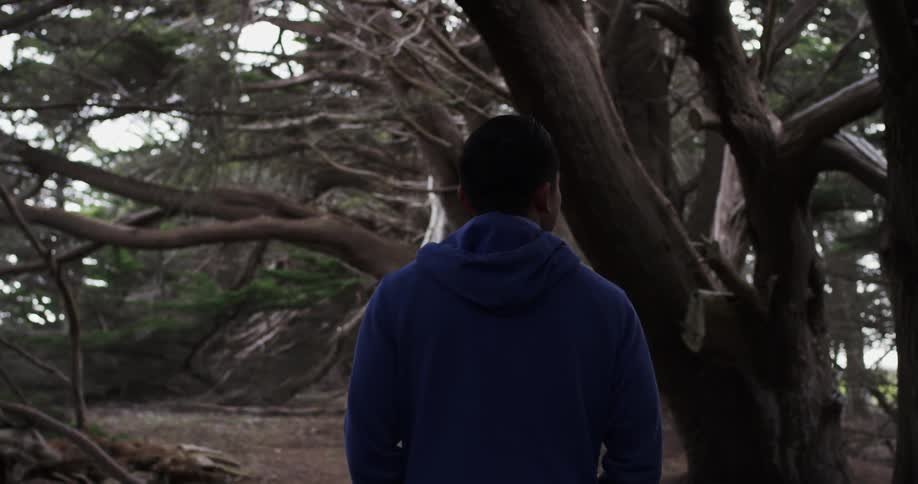 A man in a blue hoodie walks through a forest in daylight