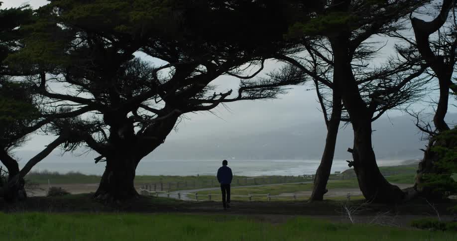 A man in a blue hoodie walks along a tree lined path before coming to a stop and looking out to the clearing in front of him