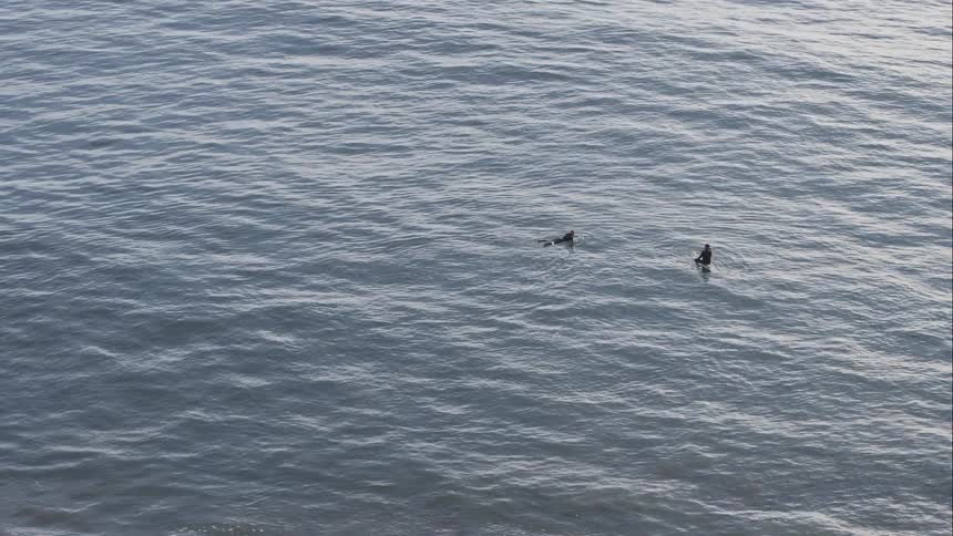 Surfers waiting for waves in the middle of the ocean