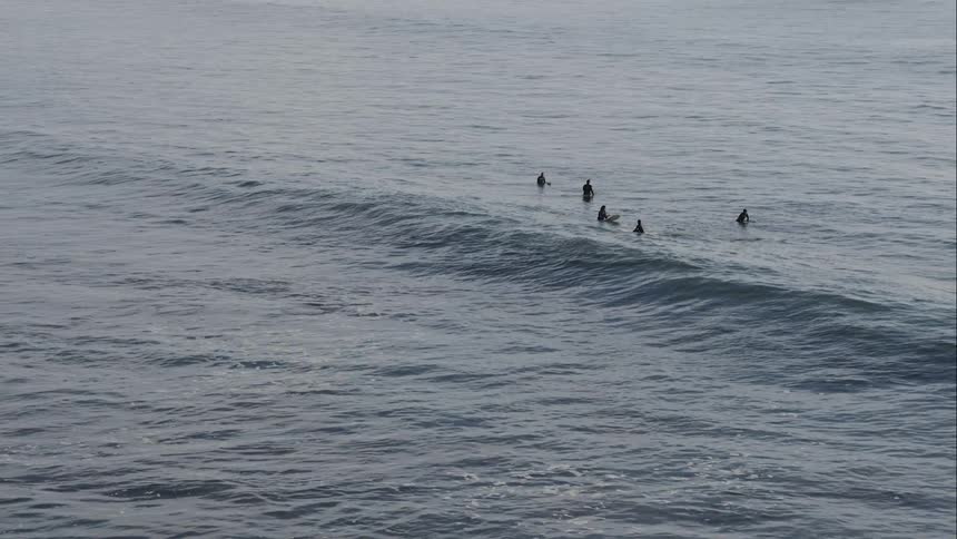 Surfers waiting for a wave