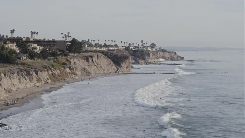 Palm trees and buildings overlooking ocean waves coming to shore