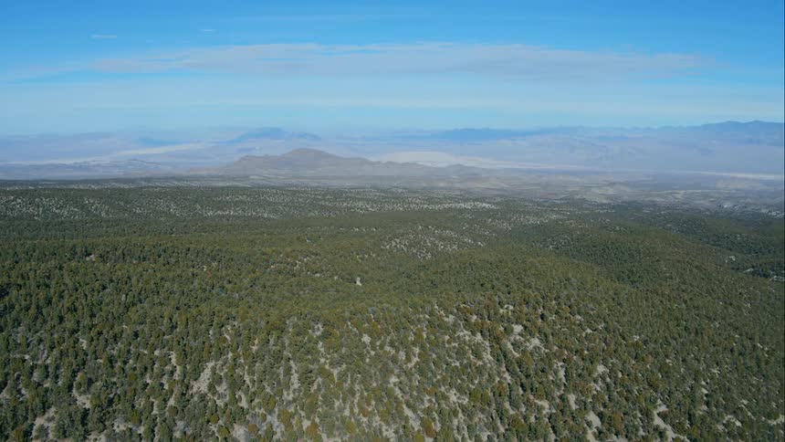 A vast hilly countryside covered in trees