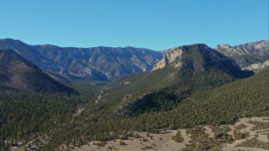 A forest with mountains and the sky in the background