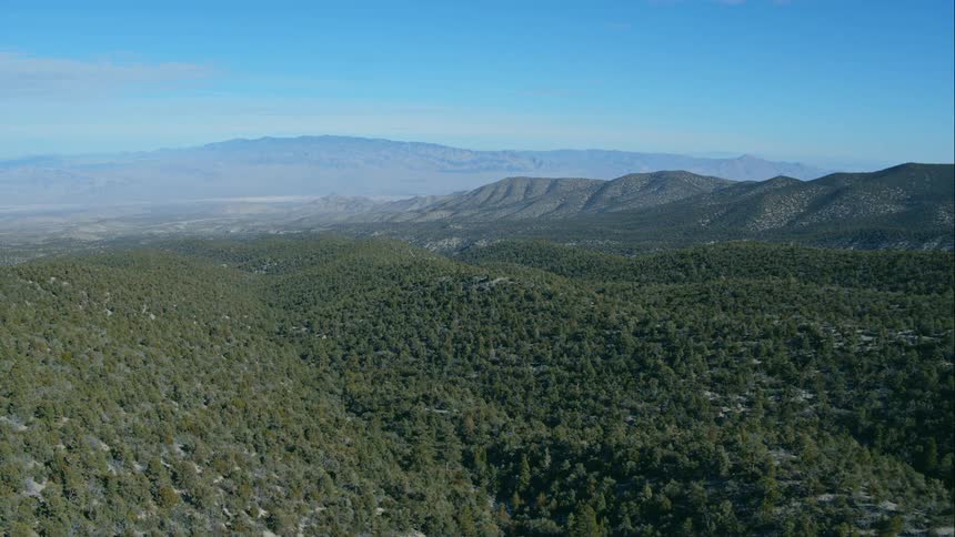 Aerial shot of a forest in a valley