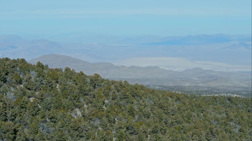 Aerial view of a massive hilly forest with a valley in the backdrop