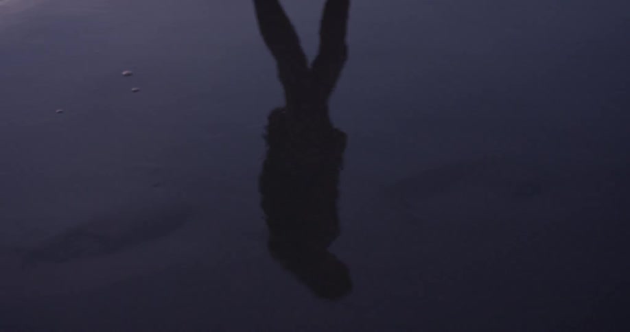 A person is reflected in wet sand while walking alone on a beach
