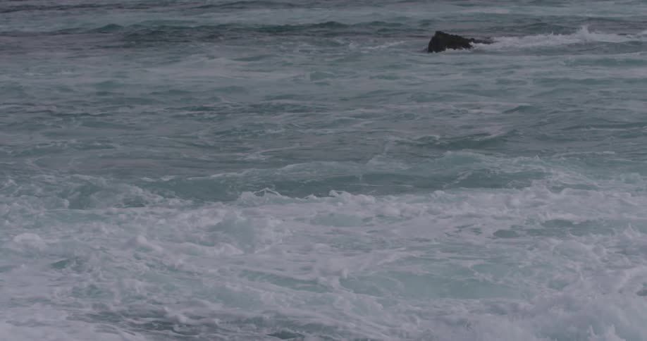 A large wave is heading to the shore