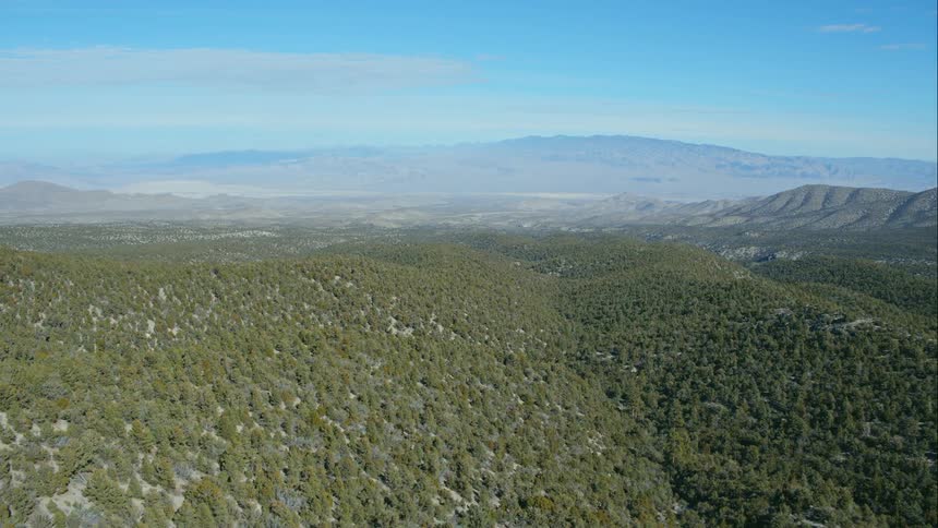 Tree covered hills sit under a blue sky