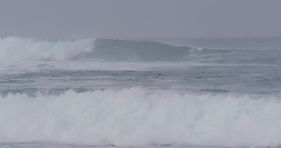 A large wave rolling towards the shore