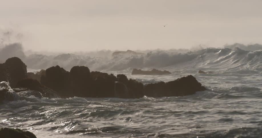 Birds fly above as waves crash into rocks in the sea