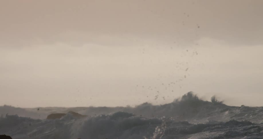The bird flies over the rough coast