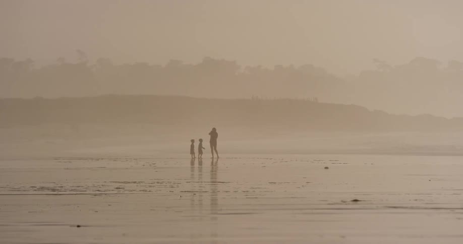 A person throws something for a dog to chase on the beach