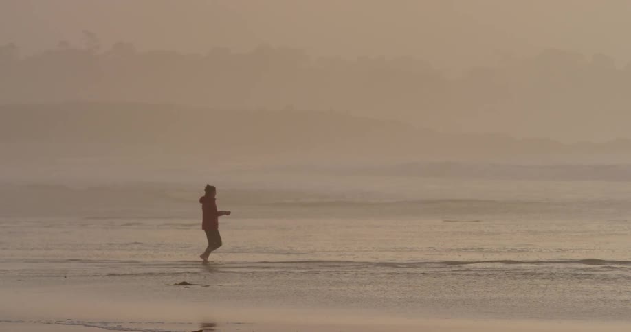 A person is walking in the surf on a foggy day