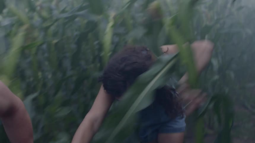 A man and woman laughing as they run through a corn field