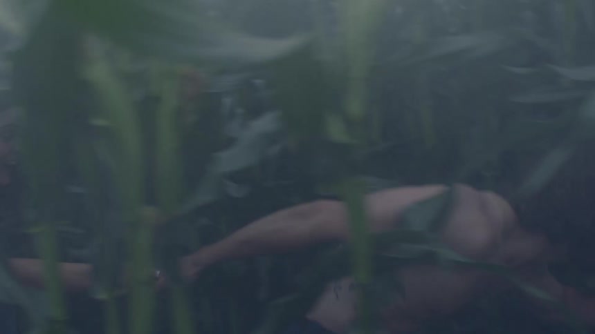 A man and a woman running through a smoky field of extremely tall plants