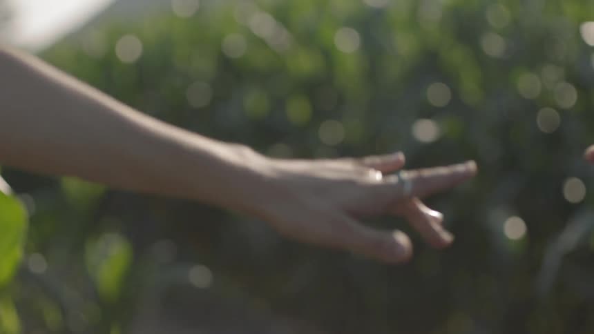 A man and a woman reach out to each other while in a field