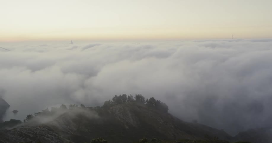 Trees and a cliff with fog and a bridge in the background