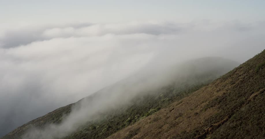 Thick fog is pouring over mountains covered in thick green foliage