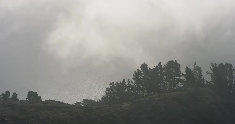 Fog rolls across lake near trees on shore