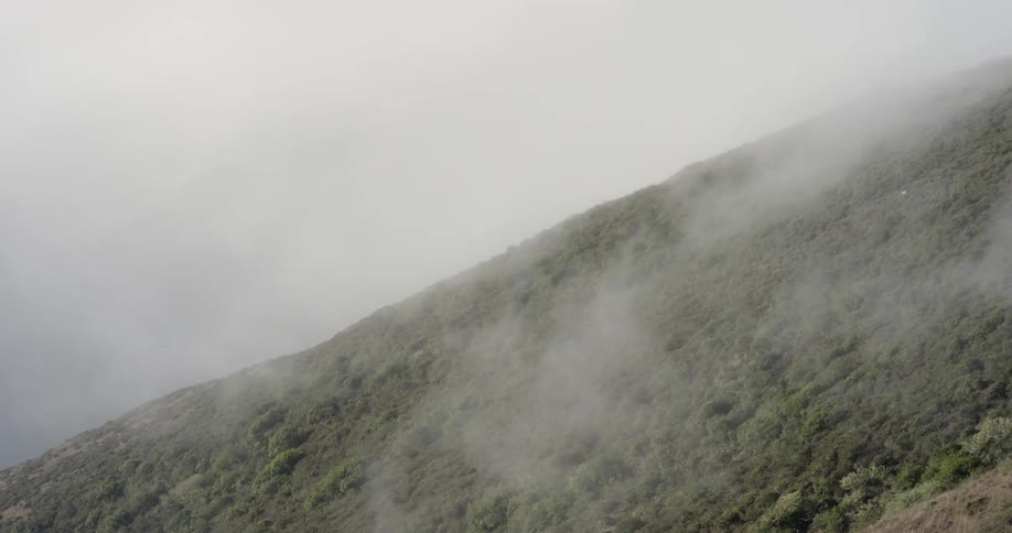 Wisps of fog are slowly gliding down the side of a sloping foliage covered mountain side