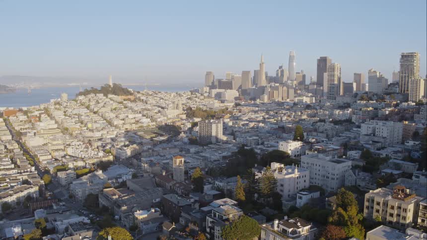 A city skyline surrounded by suburban buildings river and trees