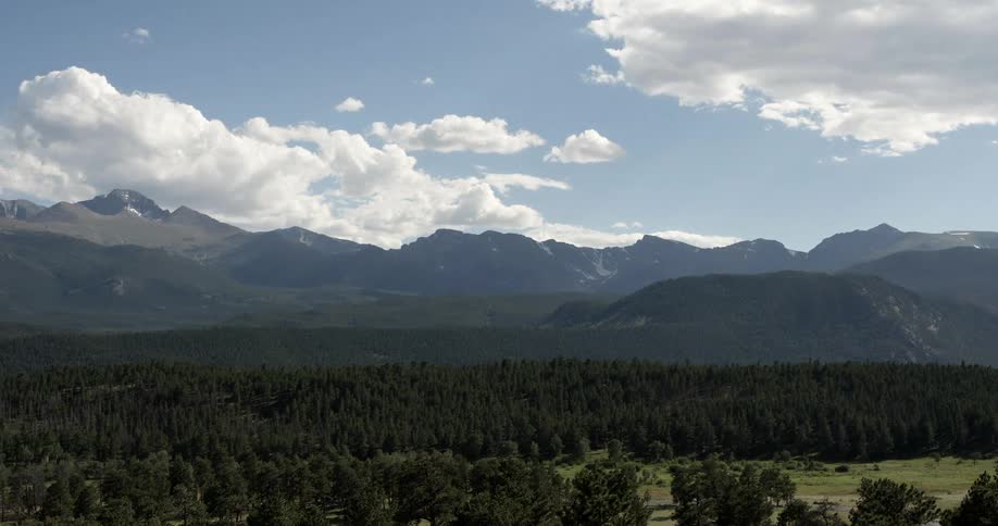 Trees stand tall in a forest before large mountains