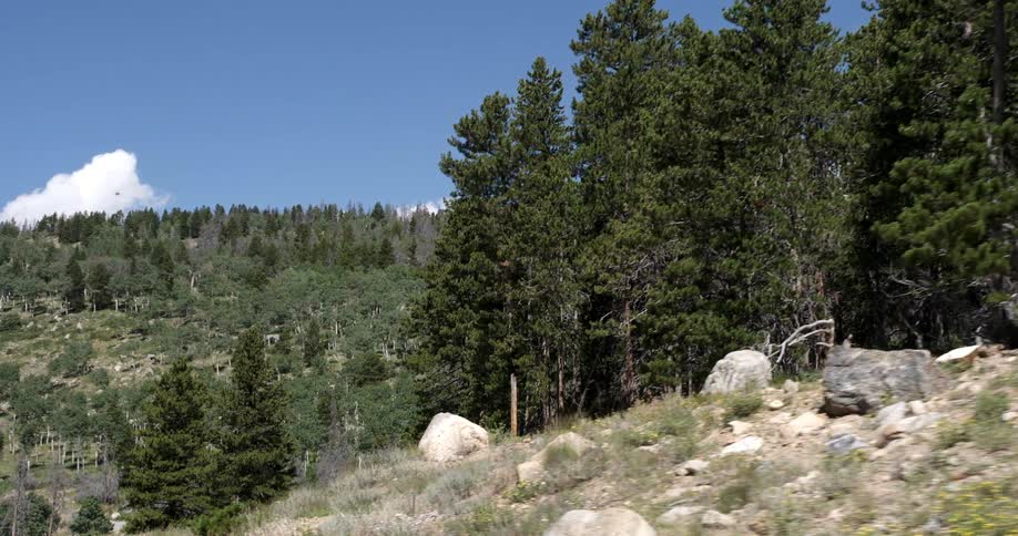 A large hill is covered with rocks and trees on a sunny day